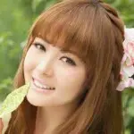 多娇9