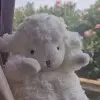 昵称违规，请重新修改