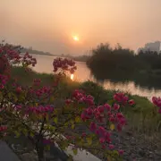 离家出走啦