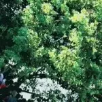 不服就干，