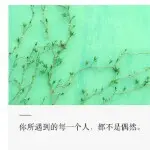 朗朗乾坤，的用户头像