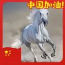 木子4mp
