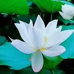 微信：35uz