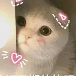 是程程丫