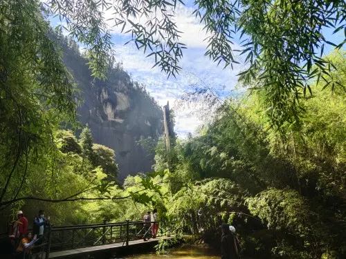 二娃在重庆找婆姨的图片