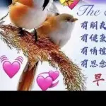 殇殤鬺觞慯