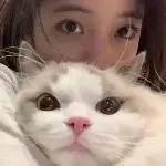 猫猫喵：