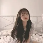 初一26