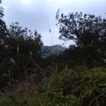 阳光照床升起