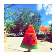 新主播小小の