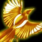 石榴一一橘子