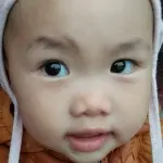 看客游客皆过客