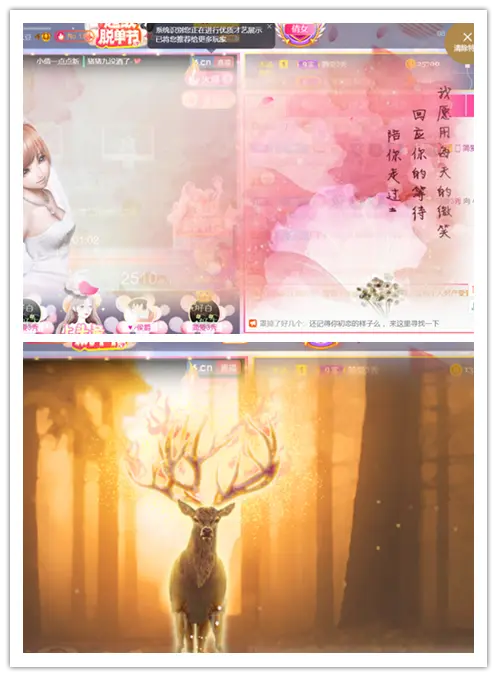3423452345的主播照片