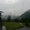 会飞的鱼kfd