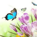 等待花季