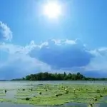 冬瓜海米汤