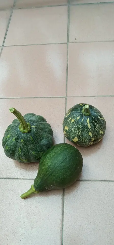 ⭐叁⭐爷🌟的图片
