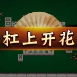 湘D杠上Kai花