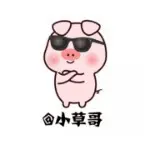 成都小草哥.