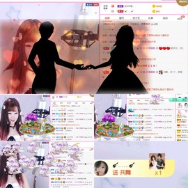 一只雁~的图片