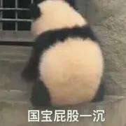 马踏东洋赏樱花