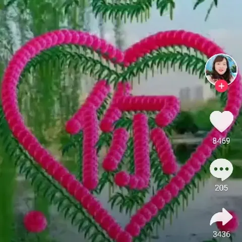 八百年.主播图片