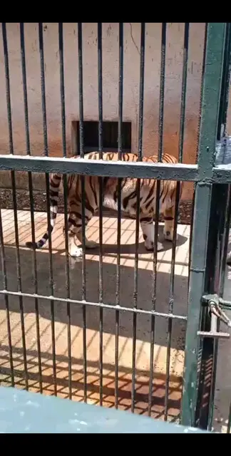 揭阳万竹园
