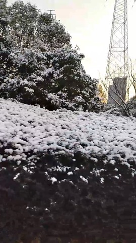 凑美没人爱的图片
