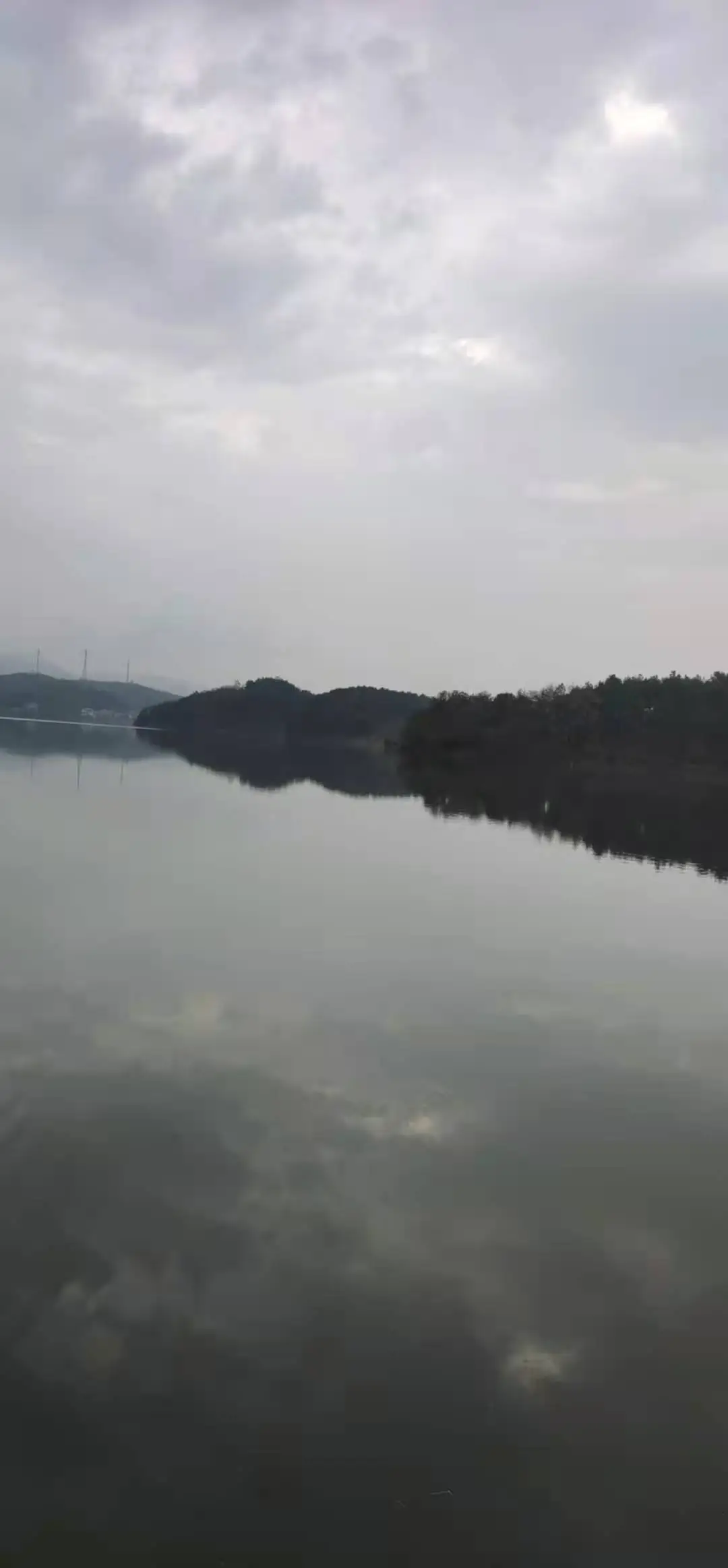 🍃小飞鱼🌾的图片
