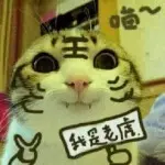 空号丶查无此人