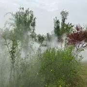 空间小农民