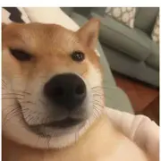 🌚宝贝