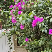 想你的时候听听歌