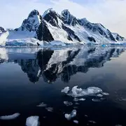但愿日久见真情