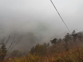 凑美没人爱的图片