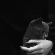 熙月儿