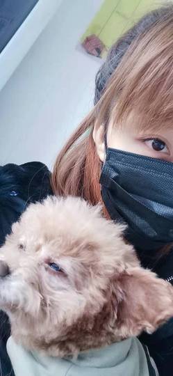 艾欣～今晚休的图片