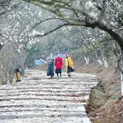 願緣福🐎