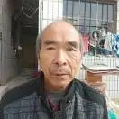 文灿h