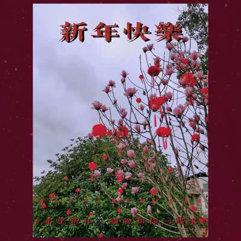 兰之芯🍁的主播照片