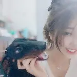 痴心绝堆