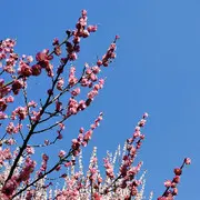 退了，祝大家一切都好