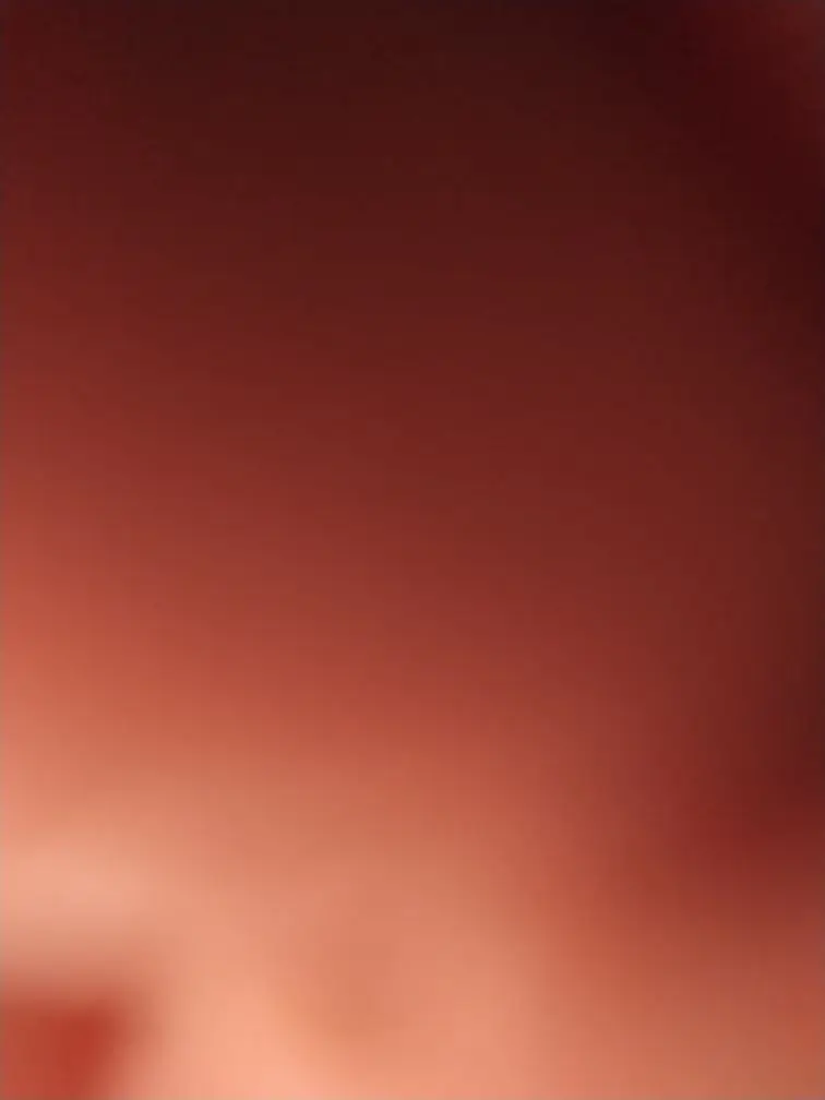 灿烂的yi子的主播照片
