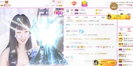 一只雁~的图片