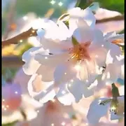 歌不要停