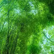 退网了呀