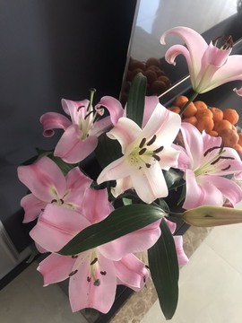 🌻小七（安静唱歌）的图片