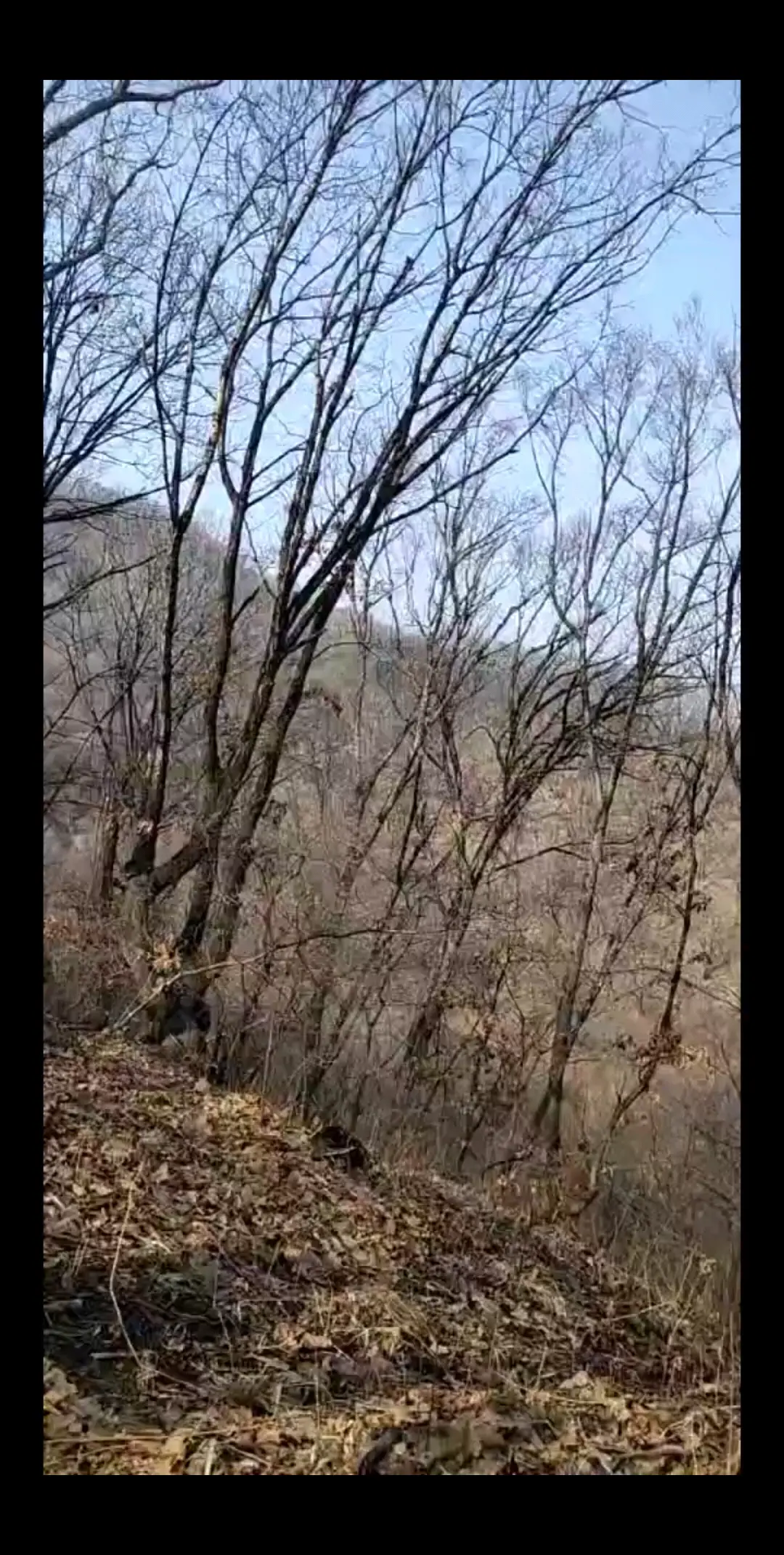 美女爬山累的不行了哈