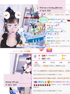 一只雁~的图片