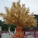 奔奔o6